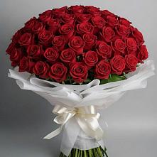 Букет 101 Красная роза Блэк Мэджик в Радченском
