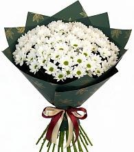 Букет цветов из:  Хризантемы #REPLACE_PRED# Радченском