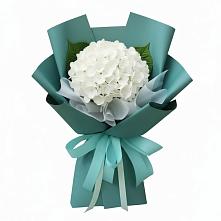 Букет цветов из:  Гортензия #REPLACE_PRED# Радченском